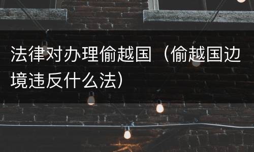 法律对办理偷越国（偷越国边境违反什么法）