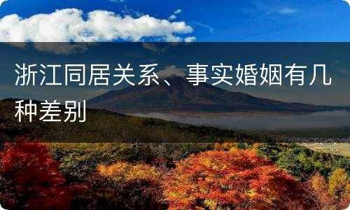 浙江同居关系、事实婚姻有几种差别