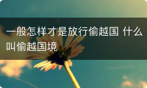 一般怎样才是放行偷越国 什么叫偷越国境
