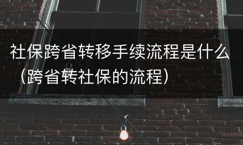 社保跨省转移手续流程是什么（跨省转社保的流程）