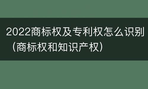 2022商标权及专利权怎么识别（商标权和知识产权）