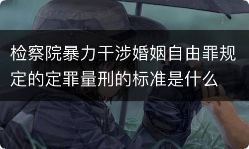 检察院暴力干涉婚姻自由罪规定的定罪量刑的标准是什么