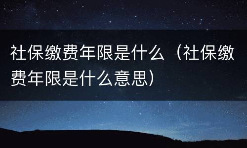 社保缴费年限是什么（社保缴费年限是什么意思）