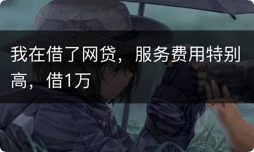 我在借了网贷，服务费用特别高，借1万