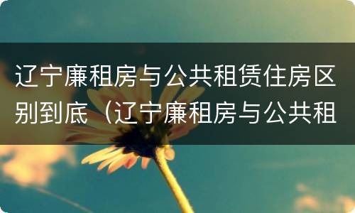 辽宁廉租房与公共租赁住房区别到底（辽宁廉租房与公共租赁住房区别到底在哪）