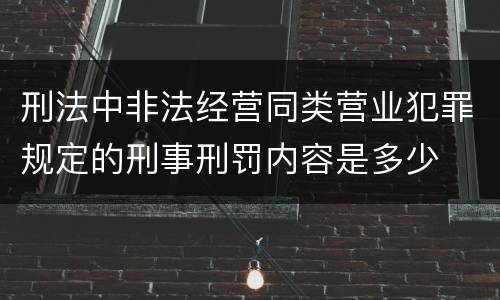 刑法中非法经营同类营业犯罪规定的刑事刑罚内容是多少