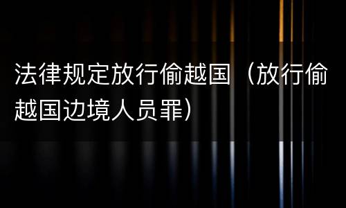 法律规定放行偷越国（放行偷越国边境人员罪）