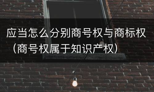 应当怎么分别商号权与商标权（商号权属于知识产权）