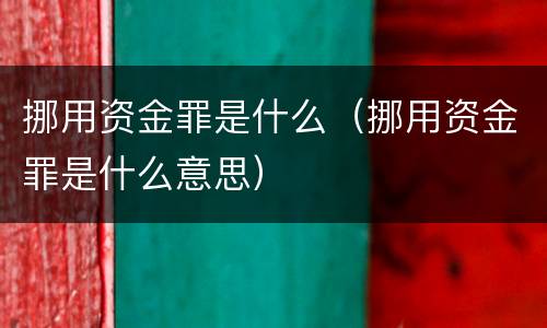 挪用资金罪是什么（挪用资金罪是什么意思）