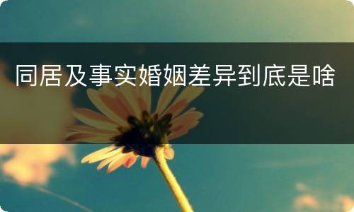 同居及事实婚姻差异到底是啥