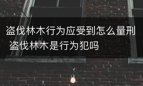 盗伐林木行为应受到怎么量刑 盗伐林木是行为犯吗