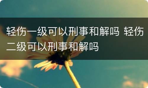 轻伤一级可以刑事和解吗 轻伤二级可以刑事和解吗