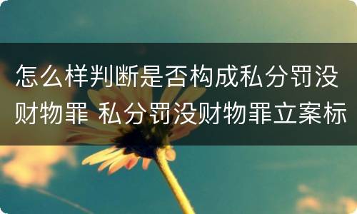怎么样判断是否构成私分罚没财物罪 私分罚没财物罪立案标准