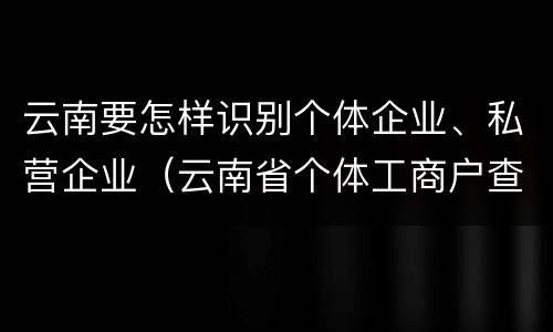云南要怎样识别个体企业、私营企业（云南省个体工商户查询）