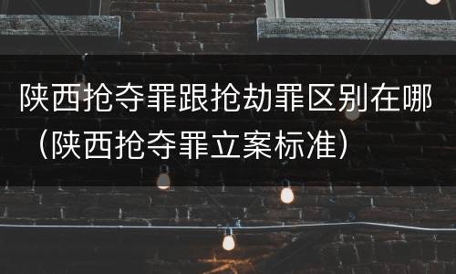 陕西抢夺罪跟抢劫罪区别在哪（陕西抢夺罪立案标准）