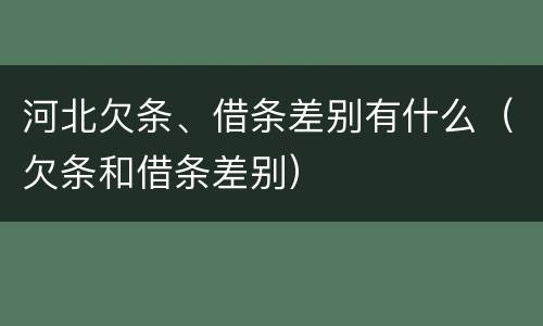河北欠条、借条差别有什么（欠条和借条差别）