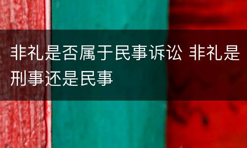 非礼是否属于民事诉讼 非礼是刑事还是民事