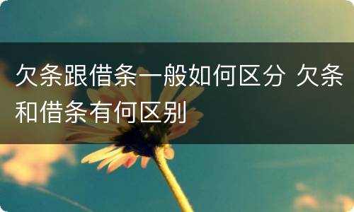 欠条跟借条一般如何区分 欠条和借条有何区别