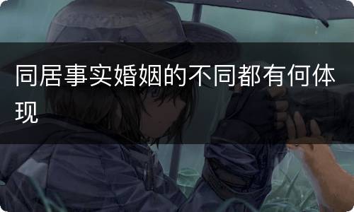 同居事实婚姻的不同都有何体现