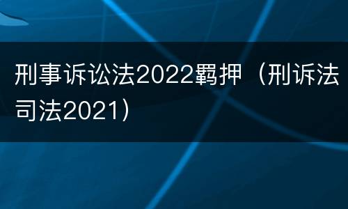 刑事诉讼法2022羁押（刑诉法司法2021）