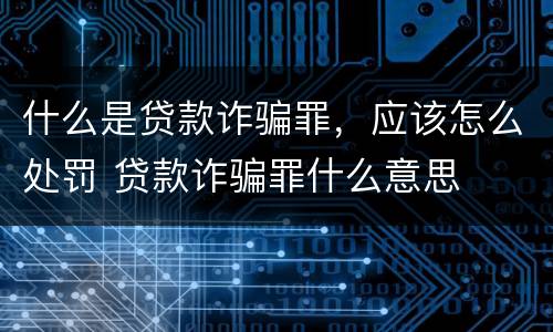什么是贷款诈骗罪，应该怎么处罚 贷款诈骗罪什么意思