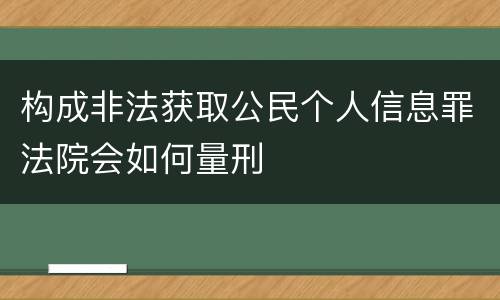 构成非法获取公民个人信息罪法院会如何量刑