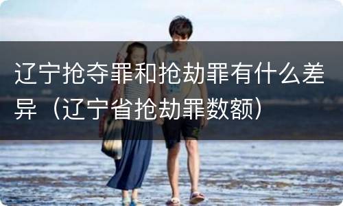 辽宁抢夺罪和抢劫罪有什么差异（辽宁省抢劫罪数额）