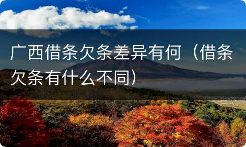 广西借条欠条差异有何（借条欠条有什么不同）