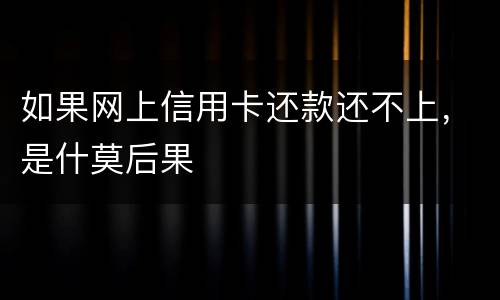 如果网上信用卡还款还不上，是什莫后果