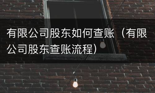 有限公司股东如何查账（有限公司股东查账流程）
