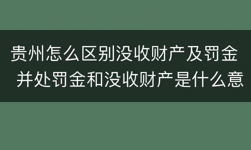 贵州怎么区别没收财产及罚金 并处罚金和没收财产是什么意思