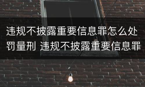违规不披露重要信息罪怎么处罚量刑 违规不披露重要信息罪怎么处罚量刑标准