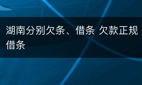 湖南分别欠条、借条 欠款正规借条