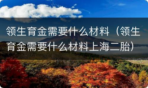 领生育金需要什么材料（领生育金需要什么材料上海二胎）