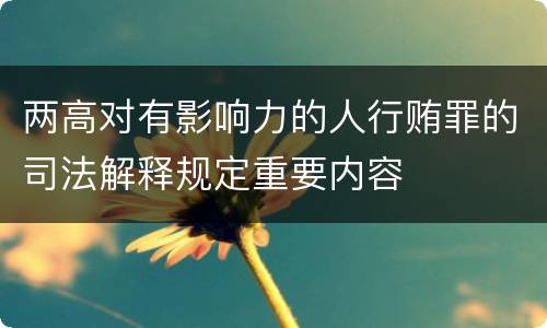 两高对有影响力的人行贿罪的司法解释规定重要内容