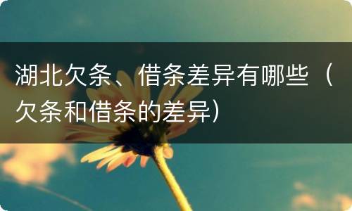 湖北欠条、借条差异有哪些（欠条和借条的差异）