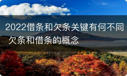 2022借条和欠条关键有何不同 欠条和借条的概念