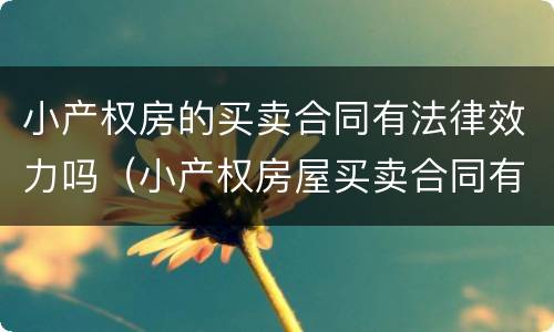 小产权房的买卖合同有法律效力吗（小产权房屋买卖合同有法律效力吗）