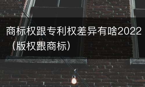 商标权跟专利权差异有啥2022（版权跟商标）