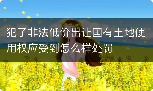 犯了非法低价出让国有土地使用权应受到怎么样处罚