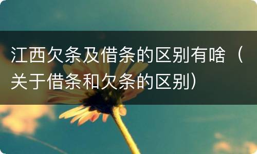 江西欠条及借条的区别有啥（关于借条和欠条的区别）