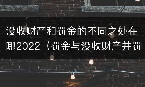 没收财产和罚金的不同之处在哪2022（罚金与没收财产并罚）