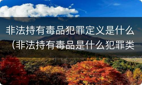 非法持有毒品犯罪定义是什么（非法持有毒品是什么犯罪类型）