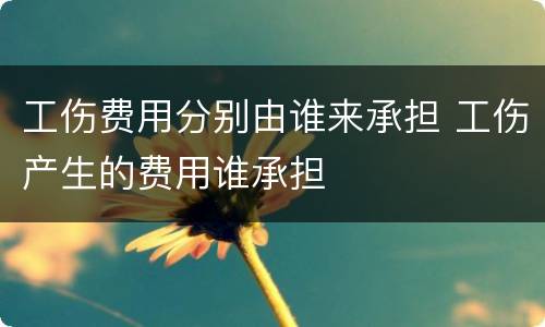 工伤费用分别由谁来承担 工伤产生的费用谁承担