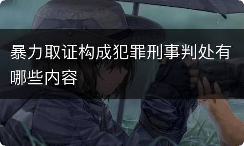 暴力取证构成犯罪刑事判处有哪些内容