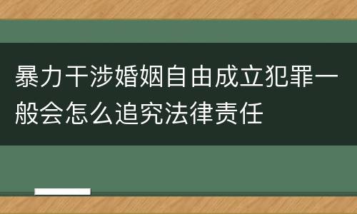 暴力干涉婚姻自由成立犯罪一般会怎么追究法律责任