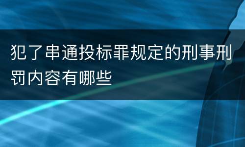 犯了串通投标罪规定的刑事刑罚内容有哪些