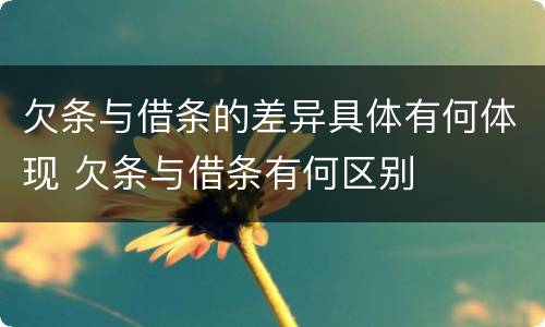 欠条与借条的差异具体有何体现 欠条与借条有何区别