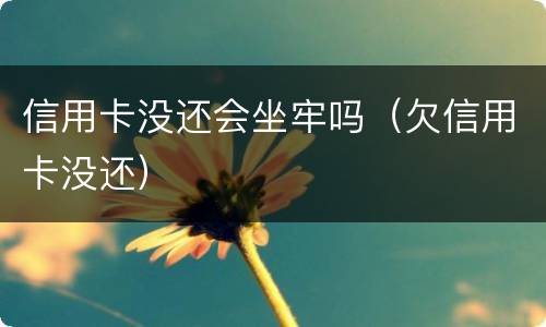 信用卡没还会坐牢吗（欠信用卡没还）