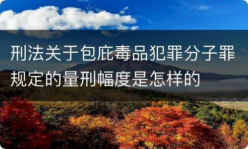 刑法关于包庇毒品犯罪分子罪规定的量刑幅度是怎样的